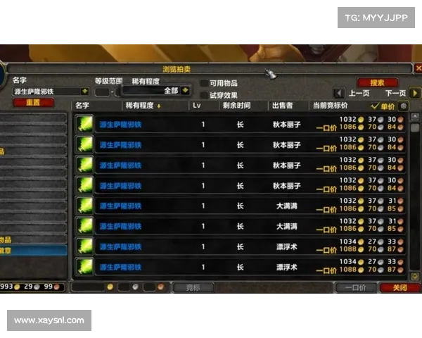 魔兽世界怀旧服多开攻略：快速升级秘籍